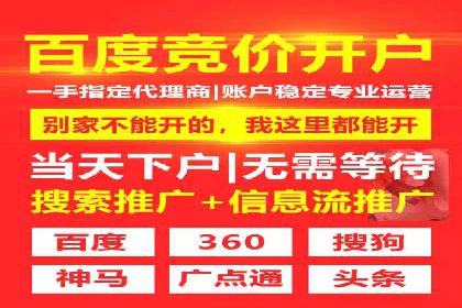 百度竞价价格优化，成功案例解析